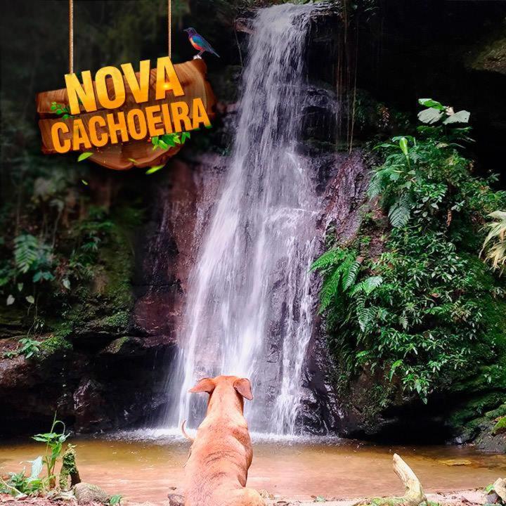 Hotel Fazenda Selva Do Mato Limpo Parapeúna Екстериор снимка