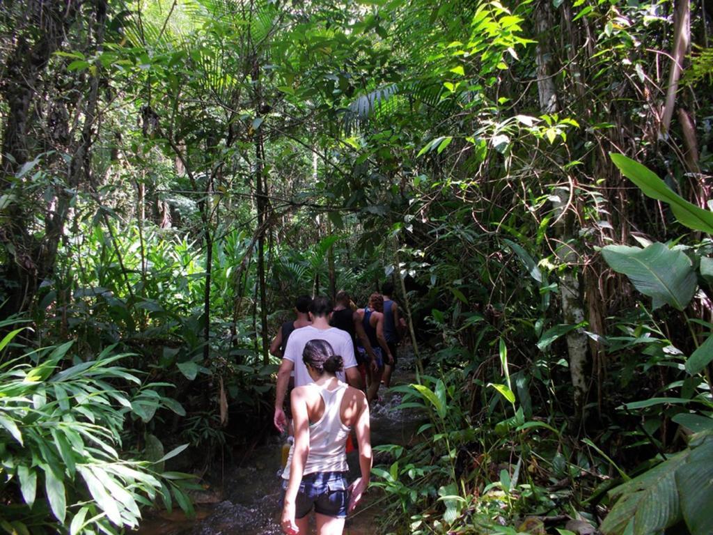 Hotel Fazenda Selva Do Mato Limpo Parapeúna Екстериор снимка